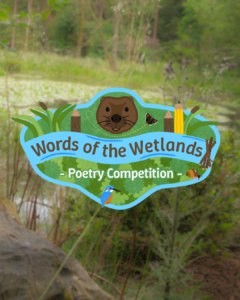 Words of the wetlands poetry competition logo, over a lush forest background
